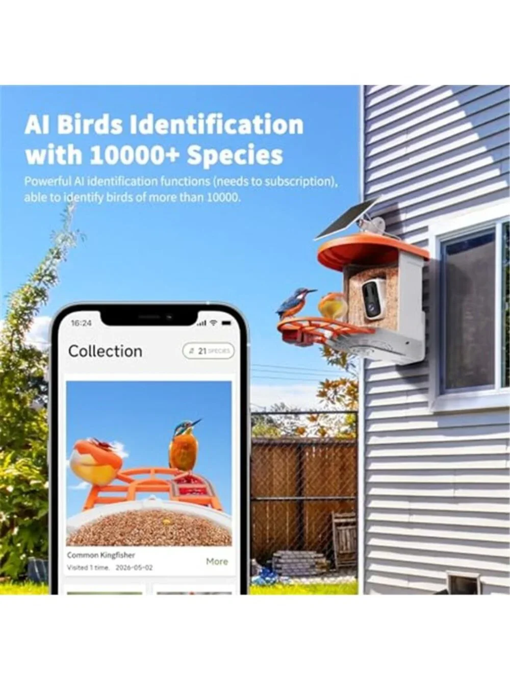 New Bird Feeder with Camera with AI Identify Birds Species Solar Powered